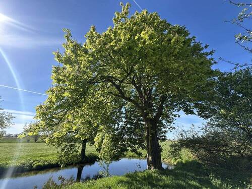 Aussicht - 