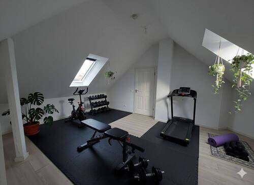 Alternativ Sportraum OG - 