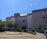 PXL_20250624_094739807.jpg - 