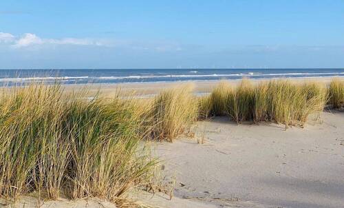 Wangerooge Strand - 2 Zimmer Etagenwohnung zum Kaufen in Wangerooge