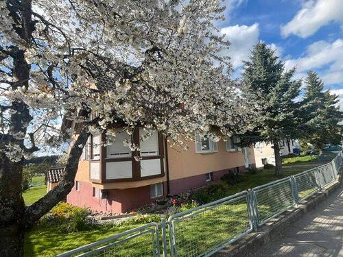 IMG_7941 - 6 Zimmer Mehrfamilienhaus, Wohnhaus in Dornhan / Weiden