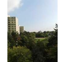 Helle und gut geschnittene Wohnung mit Einbauküche sucht neue Eigentümer!! - Ludwigshafen am Rhein / Pfingstweide