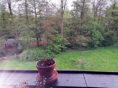 Blick vom Balkon OG, Haus Nr. 8a - 