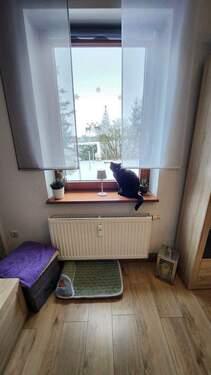 EGli01.jpg - 1 Zimmer Mehrfamilienhaus, Wohnhaus zum Kaufen in Rositz