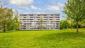 Garten 2 - Viel Platz für neue Ideen - Fünf Zimmer mit sonniger West-Loggia