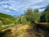AP976_23 TERRA ITALIA IMMOBILIEN_TERRA ITALIA IMMO - 