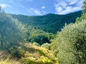 AP976_24 TERRA ITALIA IMMOBILIEN_TERRA ITALIA IMMO - 