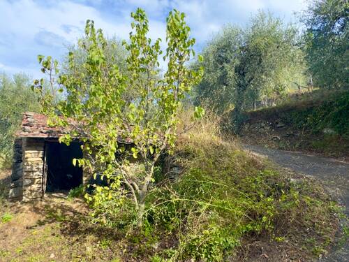 AP976_27 TERRA ITALIA IMMOBILIEN_TERRA ITALIA IMMO - 