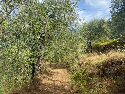 AP976_28 TERRA ITALIA IMMOBILIEN_TERRA ITALIA IMMO - 