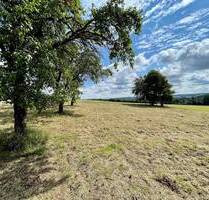 FröndenbergRuhr: Eines der schönsten Grundstücke der Stadt! - Fröndenberg - Westicker Heide Frömern
