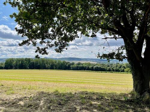 Baugrundstück Fröndenberg - Grundstück zum Kaufen in Fröndenberg - Westicker Heide