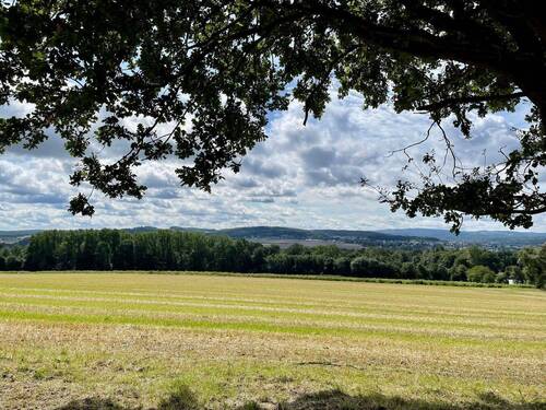 Baugrundstück Fröndenberg - Grundstück in Fröndenberg - Westicker Heide