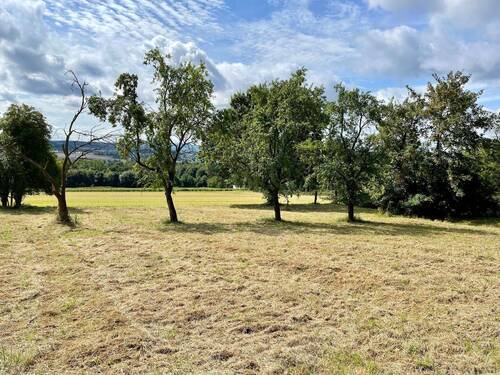 Baugrundstück Fröndenberg - Grundstück in Fröndenberg - Westicker Heide zum Kaufen