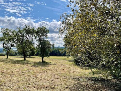 Baugrundstück Fröndenberg - 