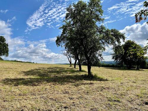 Baugrundstück Fröndenberg - 
