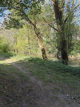 24 Rückseite Grundstück.JPG - 