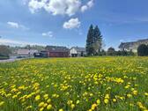 Grundstück Bretten - Idyllisches Grundstück in Bretten - perfekt für Ihr neues Eigenheim