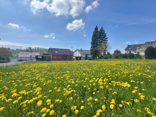 Grundstück Bretten - Idyllisches Grundstück in Bretten - perfekt für Ihr neues Eigenheim