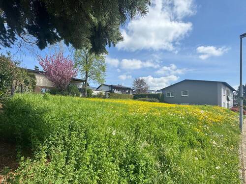 Grundstück Bretten - Grundstück zum Kaufen in Bretten