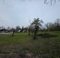 Grosses Grundstück mit Obstbaumbestand, Zentrale Ortsrandlage - Neuler