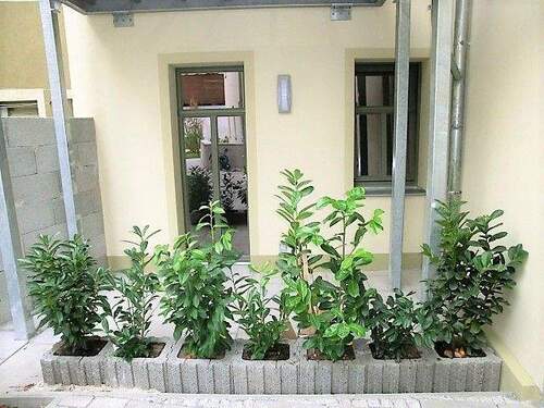 Terrasse zur Wohnung - Erdgeschoss - 2 Zimmerwohnung in der Bischofwerdaer Innenstadt mit Terrasse