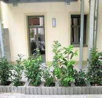 Erdgeschoss - 2 Zimmerwohnung in der Bischofwerdaer Innenstadt mit Terrasse - Bischofswerda