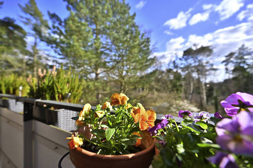Bild 2 - 2 Zimmer Etagenwohnung zum Kaufen in Wedel