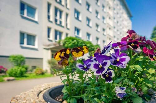 Hausansicht - Etagenwohnung mit 75,40 m² in Chemnitz zur Miete