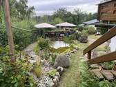 Gartenteich - 