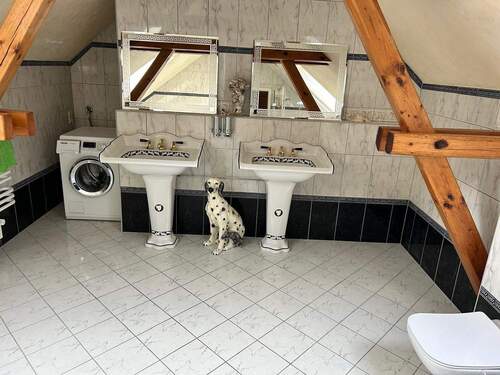 533436dc-4e9c-4b23-9693-038c839189cc.jpg - 