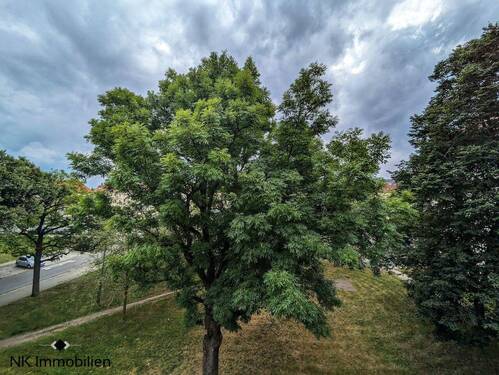 Balkon (Ausblick) - 