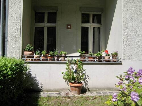 schlieper - 1.jpeg - 