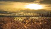 Bild 11 - 