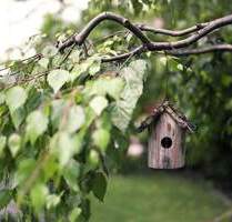 Bien-Zenker - Ihr individuell geplantes Wunschhaus mit guter Anbindung nahe der Elbe - Seevetal Over