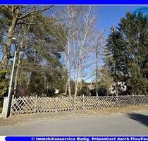 Baugrundstück in ruhiger, gewachsener Ortsrandlage - Grünheide Hangelsberg