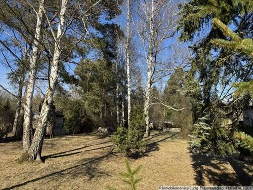 Ansicht 1 - Grundstück in Grünheide zum Kaufen