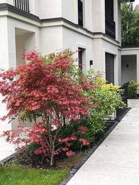 Charmante Farbenpracht - Doppelhaushälfte mit 246,00 m&sup2; in Germering zum Kaufen