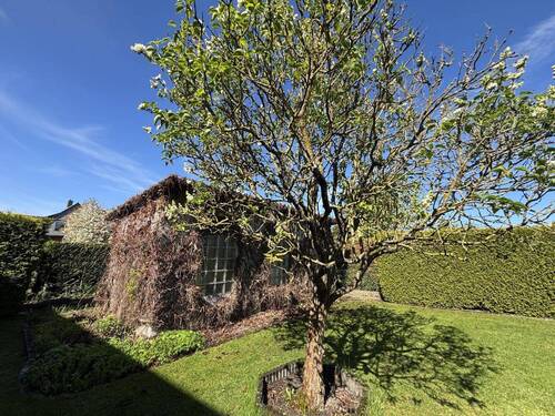 Gartenhaus - 