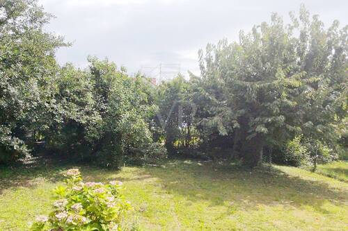 Garten - 6 Zimmer Einfamilienhaus in Heilbronn - Böckingen