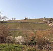 Exklusives Wohnen in bester Lage - Lichtdurchflutete Wohnung mit Garten und Blick in die Weinberge - Heppenheim