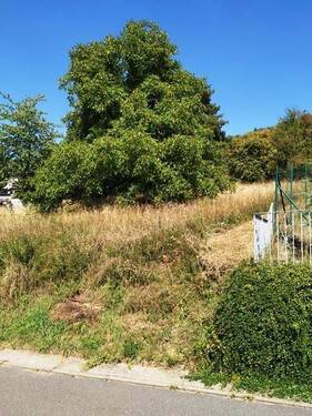 Ansicht von unten - Großes Baugrundstück in bester Aussichtslage!