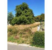 Großes Baugrundstück in bester Aussichtslage! - Lauda-Königshofen