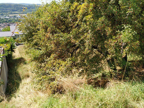Ansicht von oben - Grundstück in Lauda-Königshofen