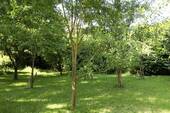 Garten 3 Teilansicht, 1kl - 