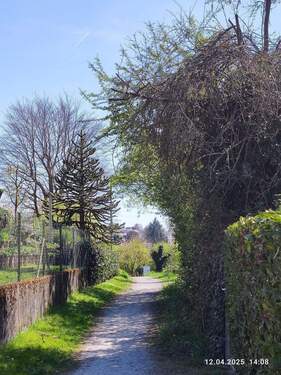 Bergwegle auf der einen ... - 