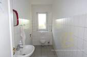 WC Damen - 