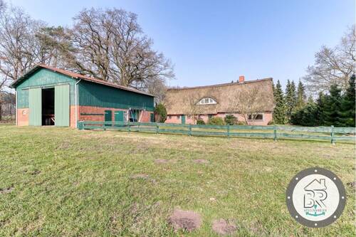 Außenansicht mit Nebengebäude und Reetdachhaus - 7 Zimmer Einfamilienhaus zum Kaufen in Lamstedt