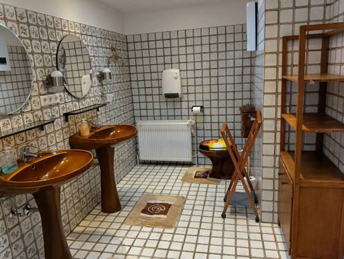 Bad ensuite - 