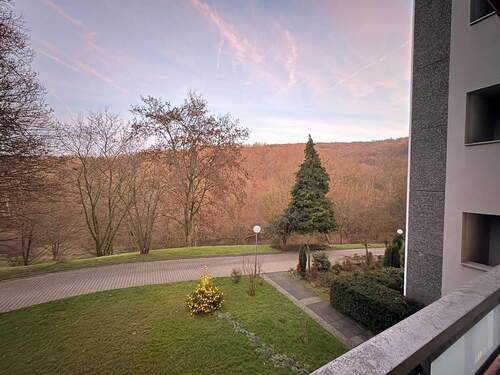 Aussicht vom Balkon - 