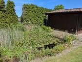 Gartenteich - 
